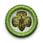 badge with gold trefoil GS symbol